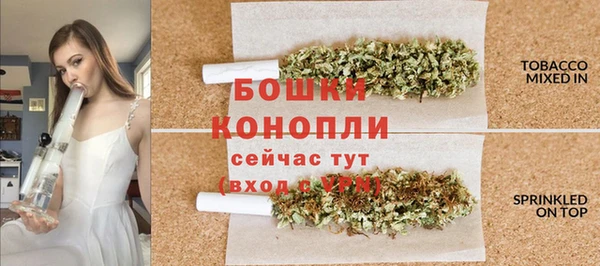 тгк Белокуриха