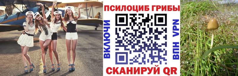 Псилоцибиновые грибы мухоморы  площадка наркотические препараты  Новая Ляля 